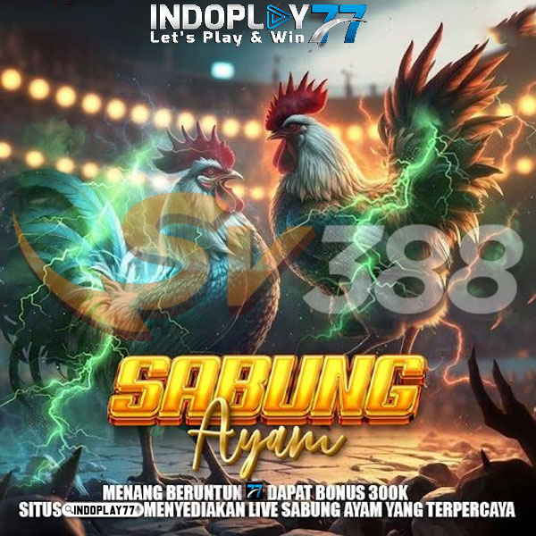 SABUNG AYAM ONLINE